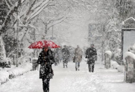 冬天下的“鹅毛大雪”其实是？-好门道 - 生活经验_行业门道_实用技巧_避坑指南